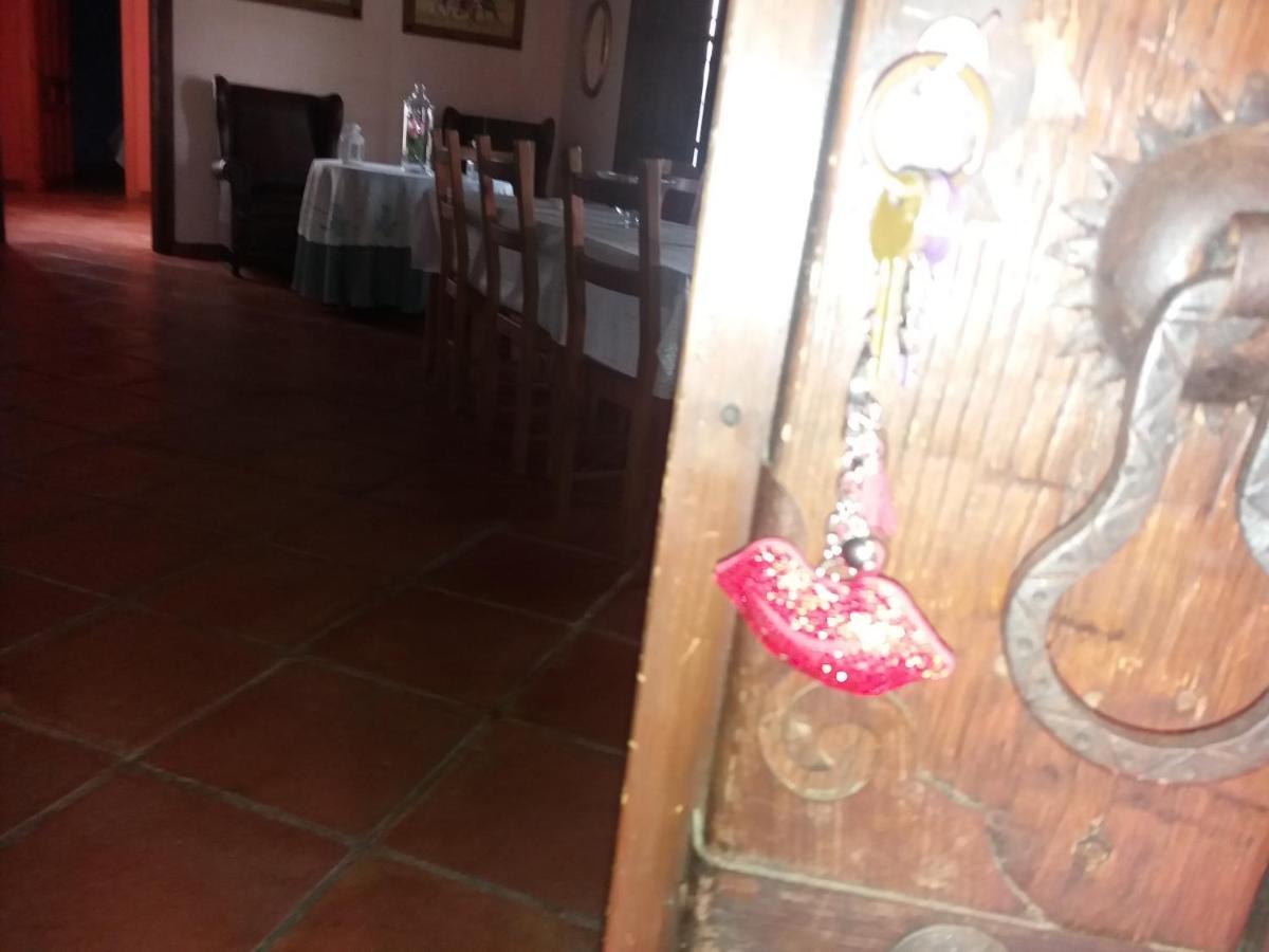 Casa Rural La Noria Los Palacios Y Villafranca Exteriér fotografie